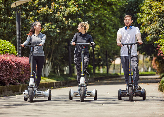 Shock Absorption 30km Mileage 250W 3 Wheel E Scooter